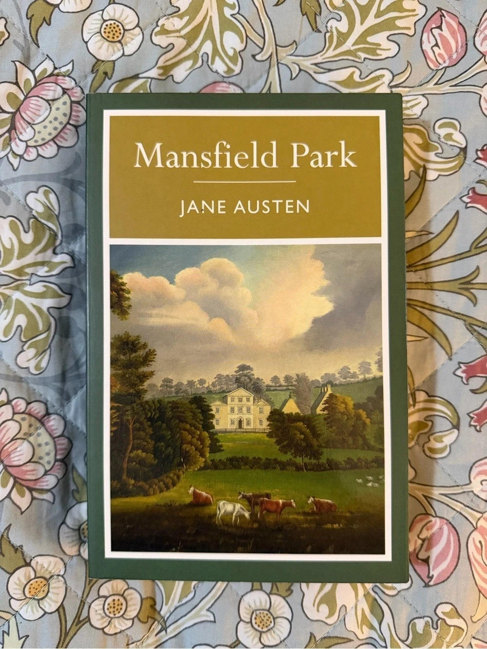 Pictura Mansfield Park Jane Austen paperback Book
